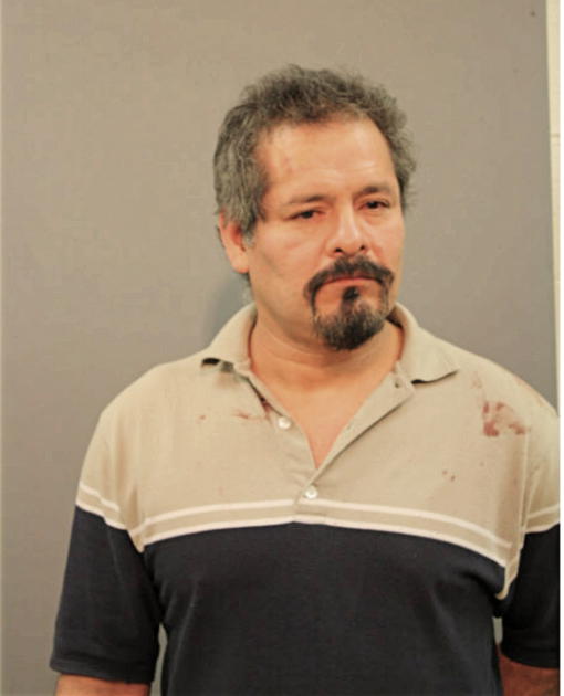 ROLANDO ARMAN OCHO, Cook County, Illinois