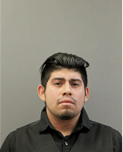FERNANDO OLEA, Cook County, Illinois