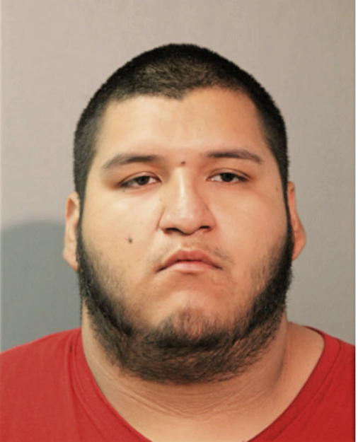 JERONIMO PALAFOX, Cook County, Illinois