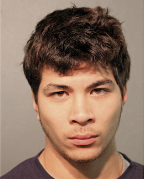 BRANDON PAOPAO, Cook County, Illinois