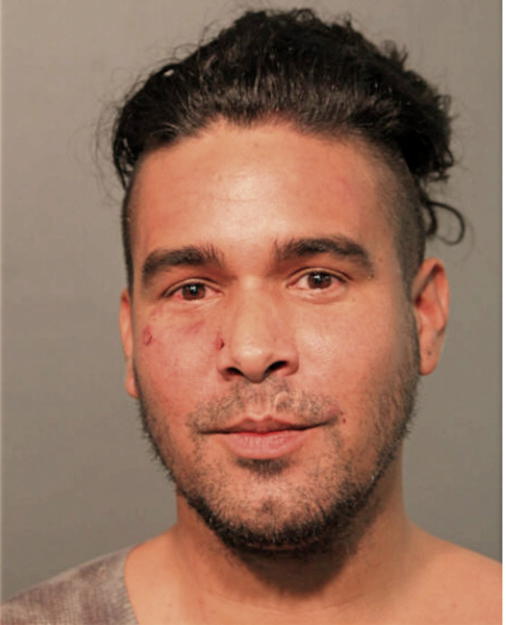 JUSTIN M PERLMAN, Cook County, Illinois
