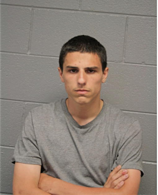 JOSEPH SILBERBAUER, Cook County, Illinois