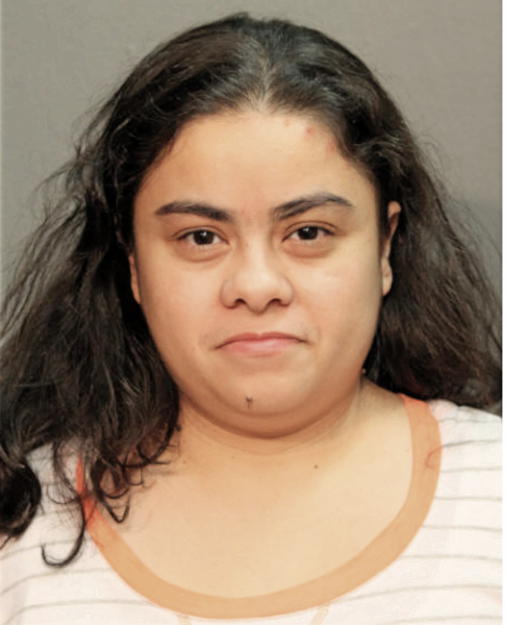 ELSY VARGAS, Cook County, Illinois
