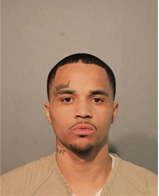 TERRELL D WYATT, Cook County, Illinois