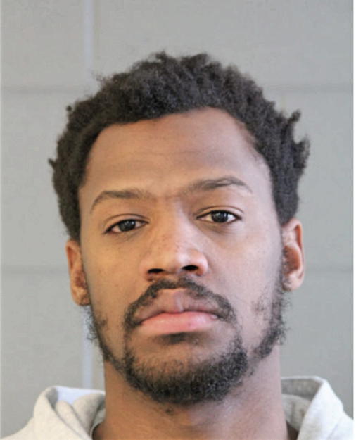 RYAN D ALLEN, Cook County, Illinois