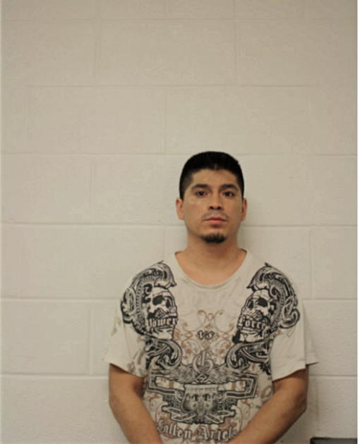 LUIS ALVARADO, Cook County, Illinois