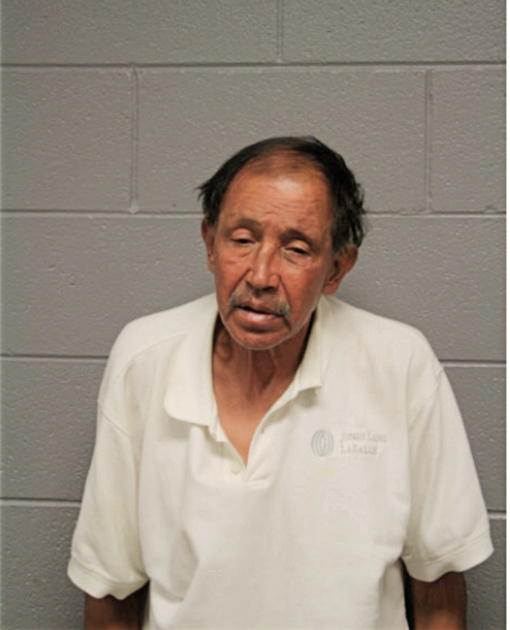 CESAR M ANGELES, Cook County, Illinois