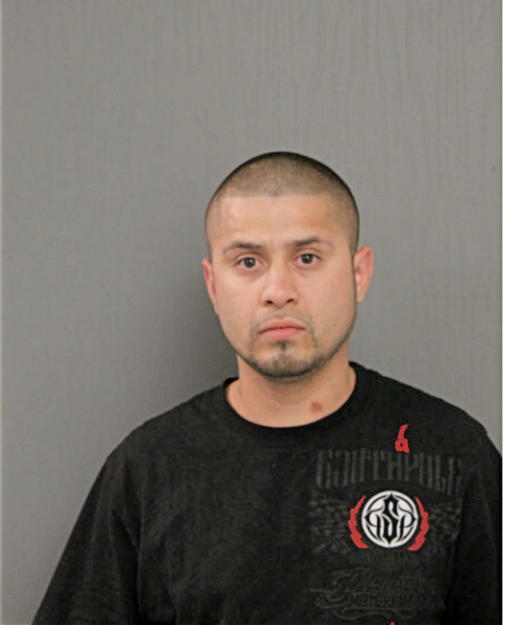 JOSE L ARRIAGA, Cook County, Illinois