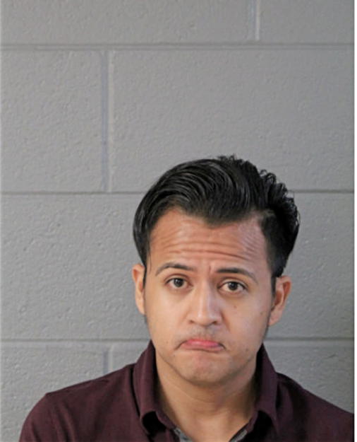 WILIAN G AVILA, Cook County, Illinois