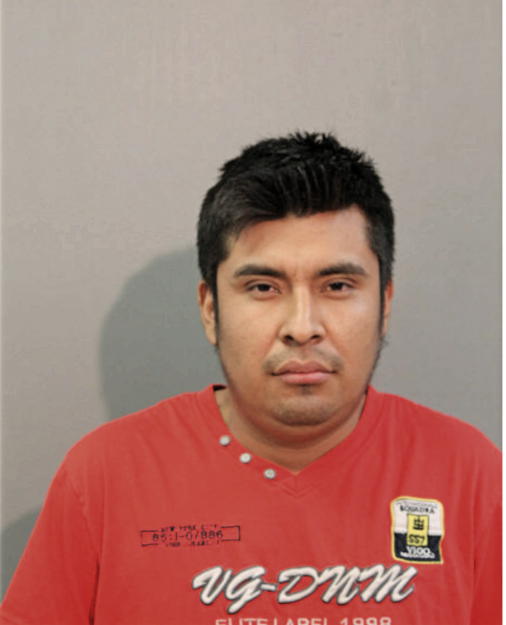 LEOVIGILDO BAUTISTA, Cook County, Illinois
