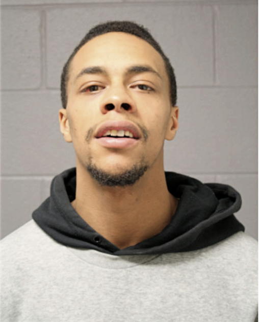 JEFFERY S BEDENFIELD, Cook County, Illinois