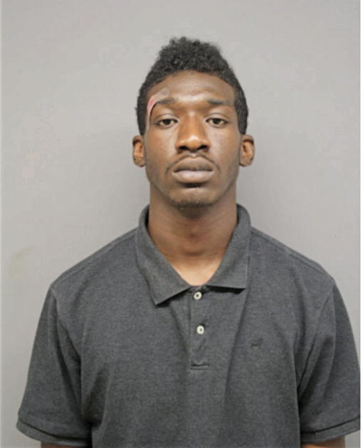 KARON D DAVIS, Cook County, Illinois