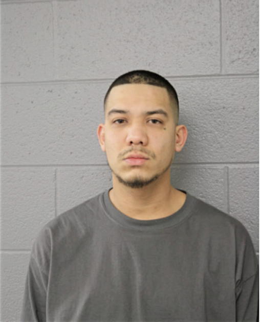 ARMANDO DOMINGUEZ, Cook County, Illinois