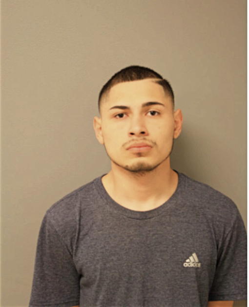 MARCO A EVANGELISTA-GONZALEZ, Cook County, Illinois