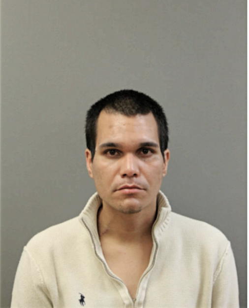 GEOREL FELICIANNO, Cook County, Illinois
