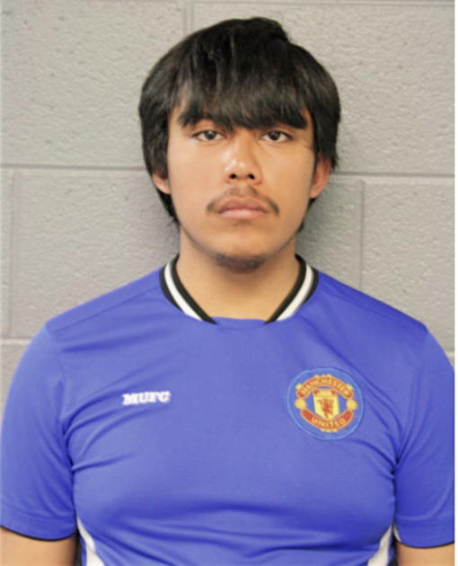 LUIS GAMA, Cook County, Illinois