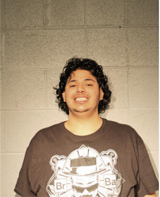LUIS GARCIA, Cook County, Illinois