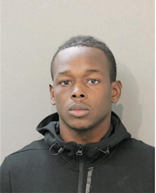 DAVID M JOHNSON, Cook County, Illinois