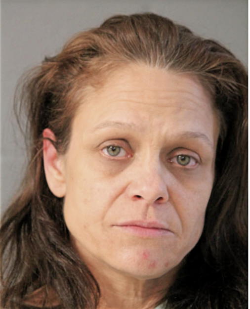 KAREN L LEONE, Cook County, Illinois