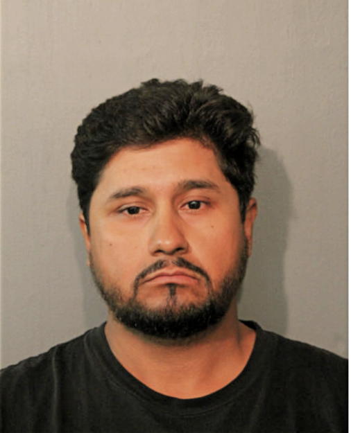 LUIS MARTINEZ, Cook County, Illinois