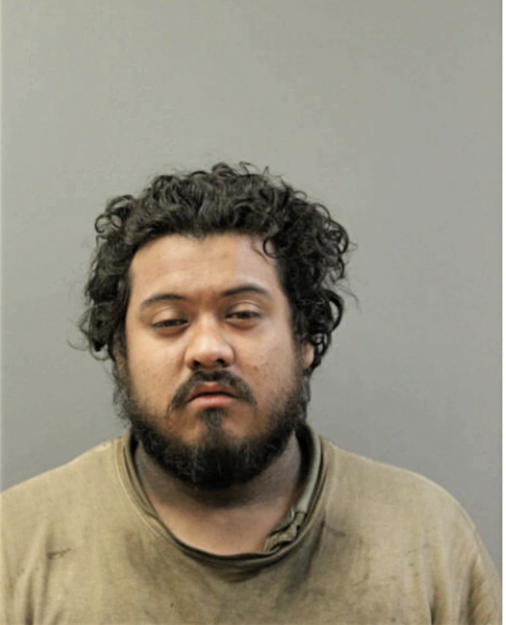JESUS MEDINA, Cook County, Illinois