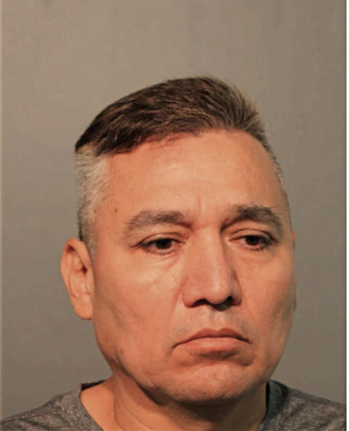 BONY MENDOZA-FERNANDEZ, Cook County, Illinois