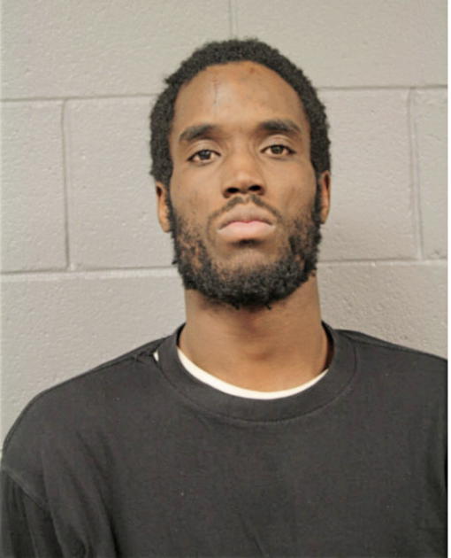 LAMAR S NORFLEET, Cook County, Illinois