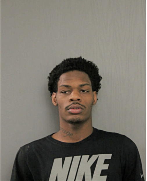 VINCENT C SAVAGE, Cook County, Illinois