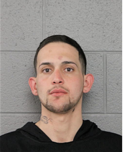 RAUL ALBERTO TORRES-VEGA, Cook County, Illinois
