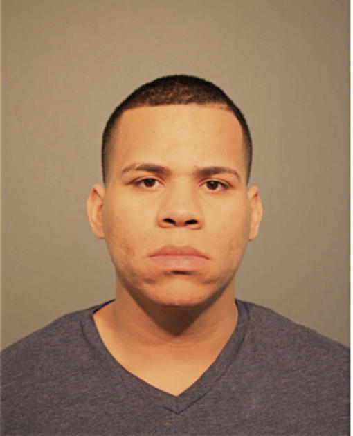 ERICSON LUIS VEGA, Cook County, Illinois