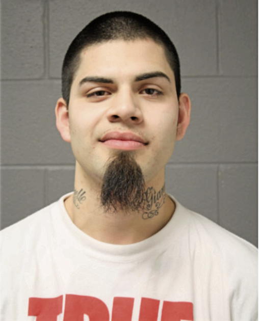 OSCAR M ALFERES, Cook County, Illinois