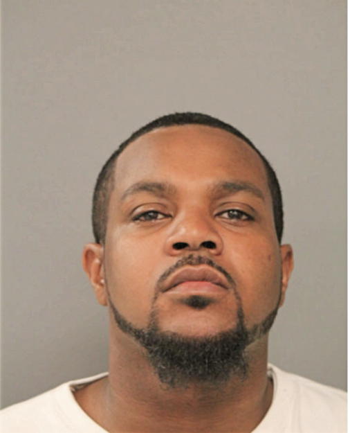 RANDY L ANDERSON, Cook County, Illinois