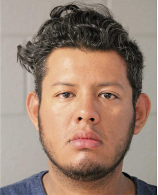 LUIS E DE LA MORA, Cook County, Illinois