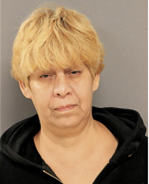 MARIBEL FEY, Cook County, Illinois