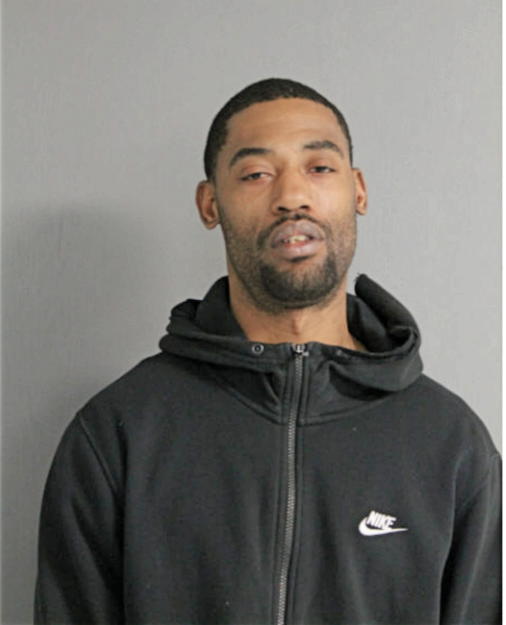 DENNIS A GOODMAN, Cook County, Illinois