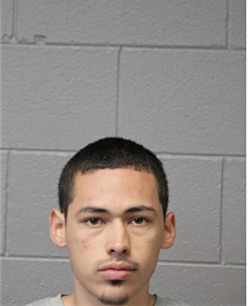 LUIS HERRERA, Cook County, Illinois