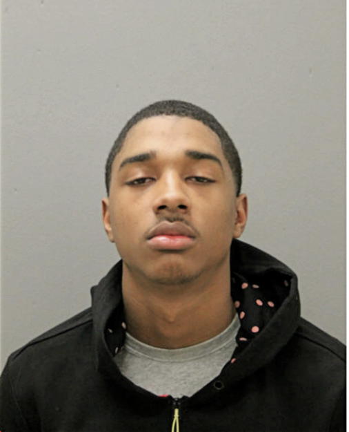 TYLER B HUGGINS-HULL, Cook County, Illinois