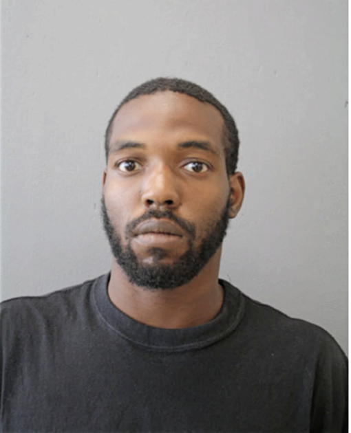 ANTHONY M JOHNSON, Cook County, Illinois