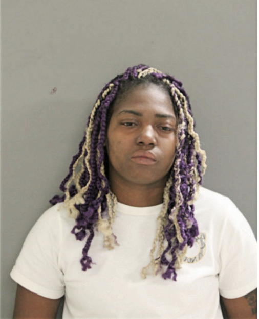 MARISSA A JOHNSON, Cook County, Illinois