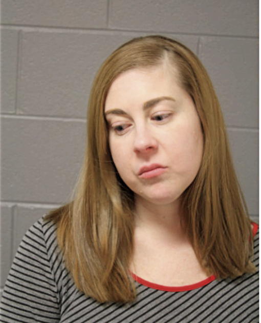 MELISSA R LAMANCUSA, Cook County, Illinois
