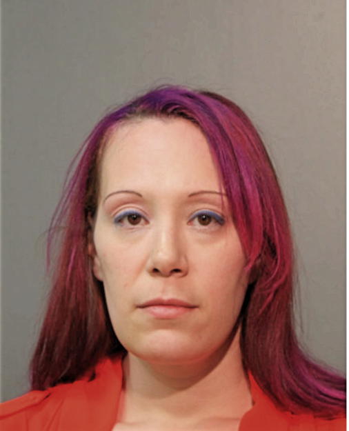 ELISA H LIDMAN, Cook County, Illinois