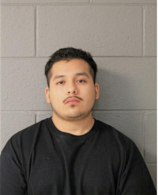 FRANCISCO S MARTINEZ, Cook County, Illinois