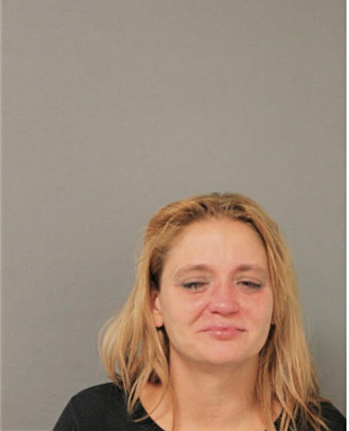 MICHELLE M MIKOLAJCZYK, Cook County, Illinois