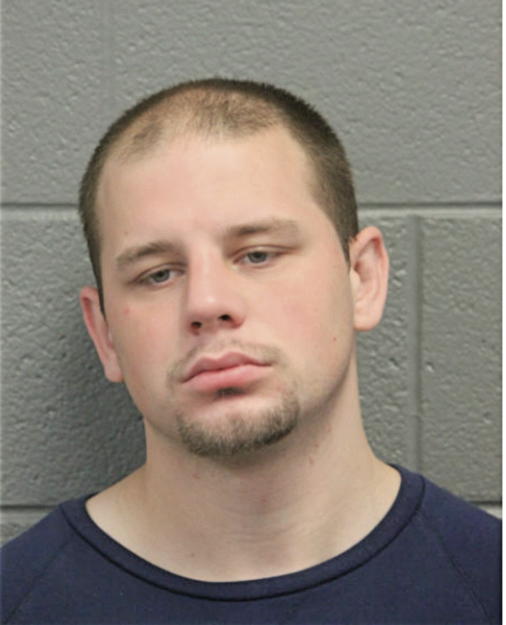ADAM E NELSON, Cook County, Illinois