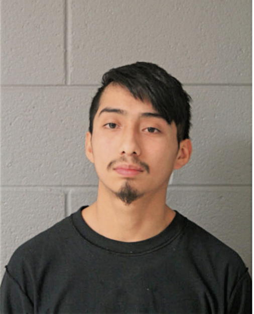 DANIEL ORNELAS, Cook County, Illinois