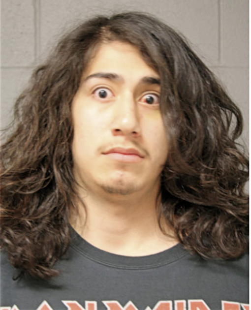 ALEXANDER PEDRO, Cook County, Illinois