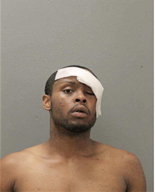 GREGORY J SPANN, Cook County, Illinois