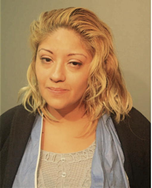 KAREN P VALDIVIA, Cook County, Illinois