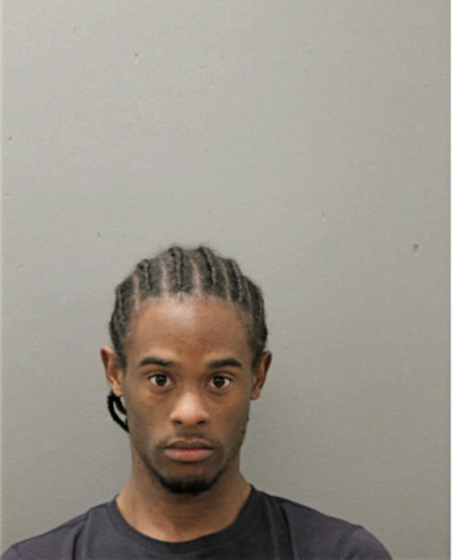 MICHAEL A STEVENSON, Cook County, Illinois