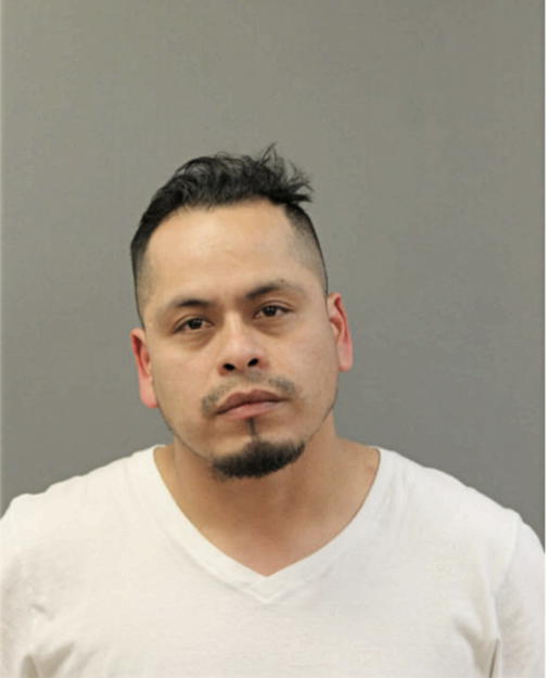 JORGE B ALONSO, Cook County, Illinois